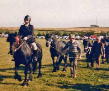 Dewdrop at Egglestone Show in 1986