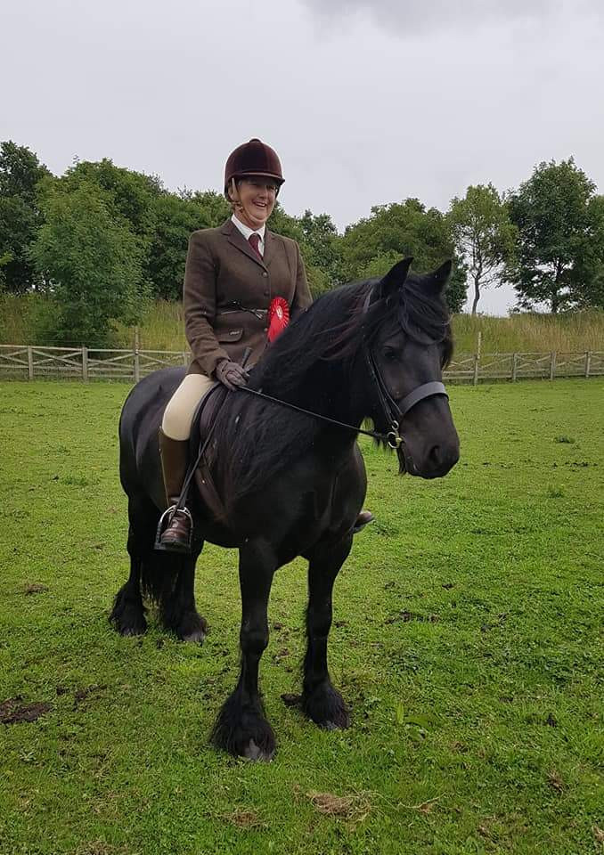 black fell mare Maggie May at Misty Blue Farm Summer Show August 2018