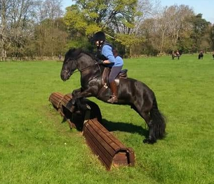 black fell mare jumping cross country course