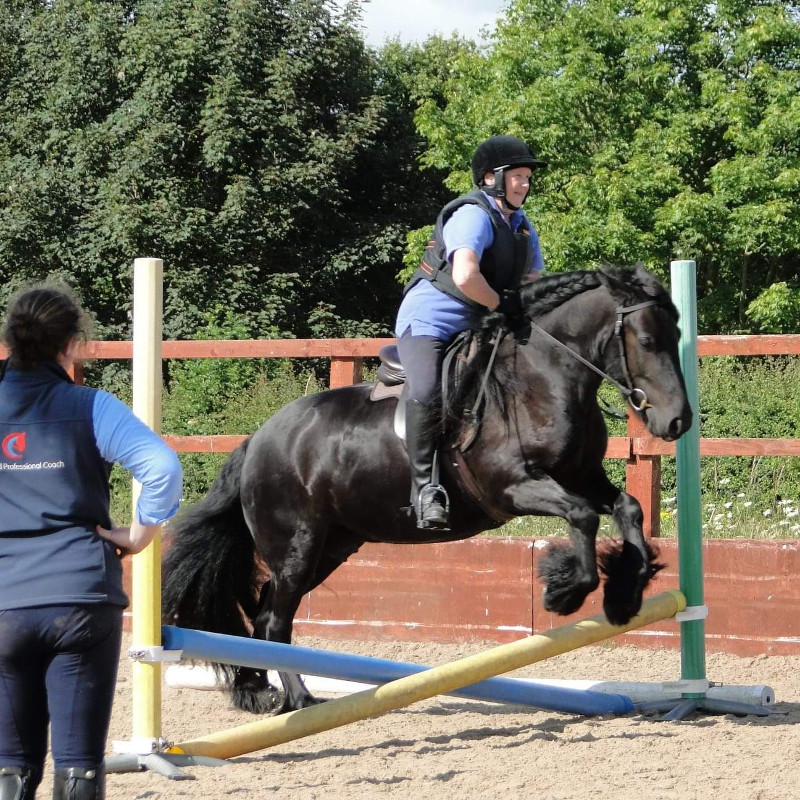 black fell pony mare jumping