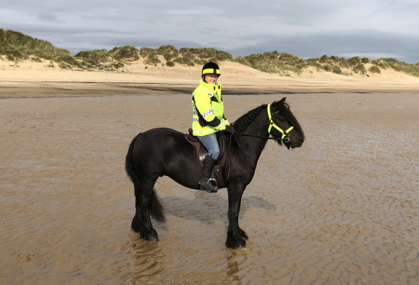 Black fell pony being ridden on the beach