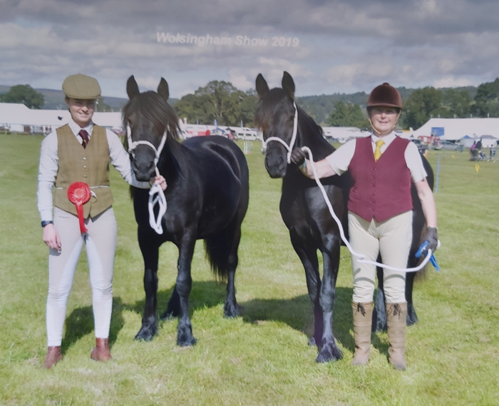 two black fell pony mares prizewinners at Wolsingham Show