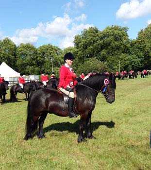 Fell pony Hugo at the Queen's 90th Birthday Guard of Honour