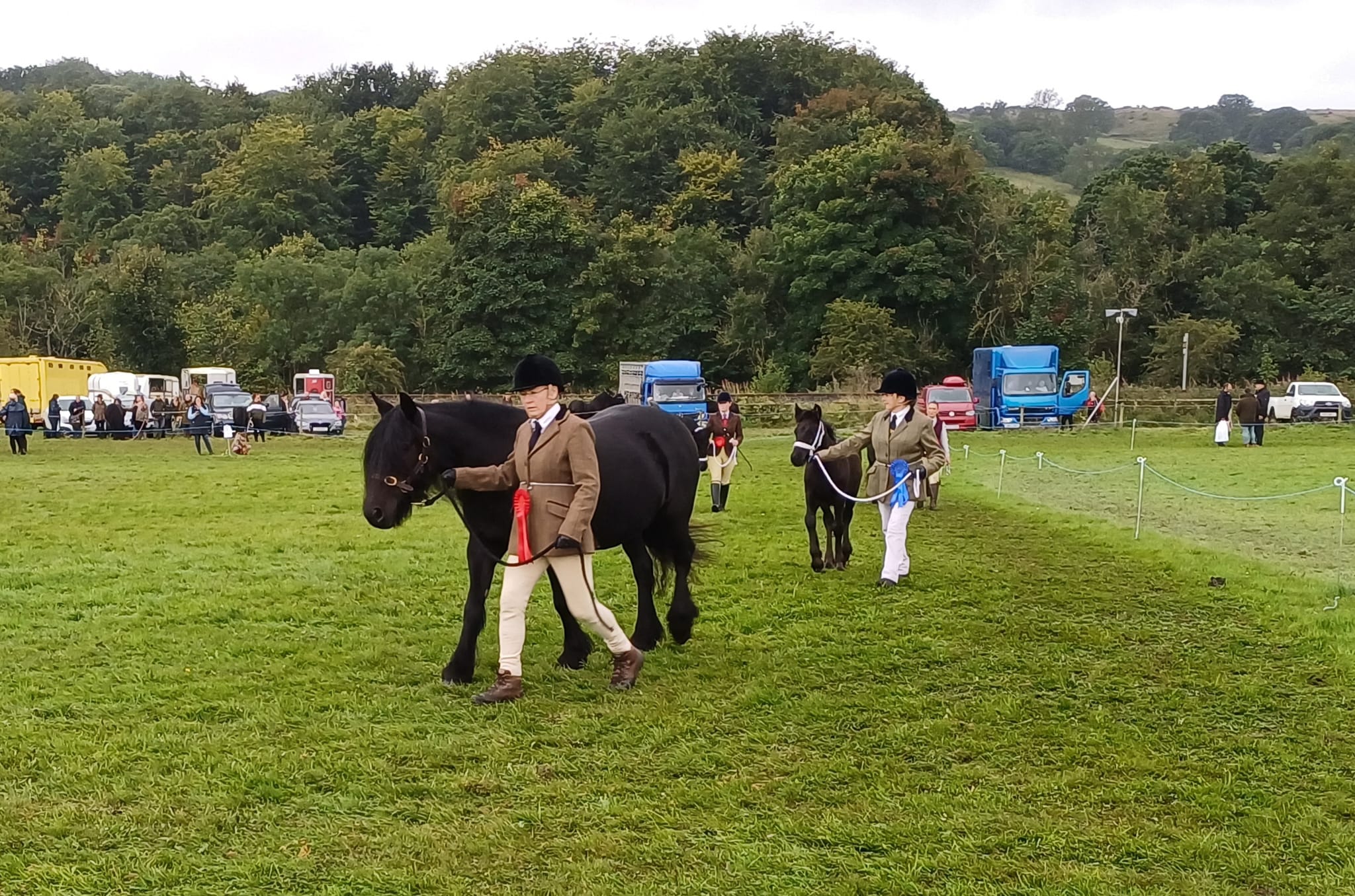 black fell pony mare and foal at a show