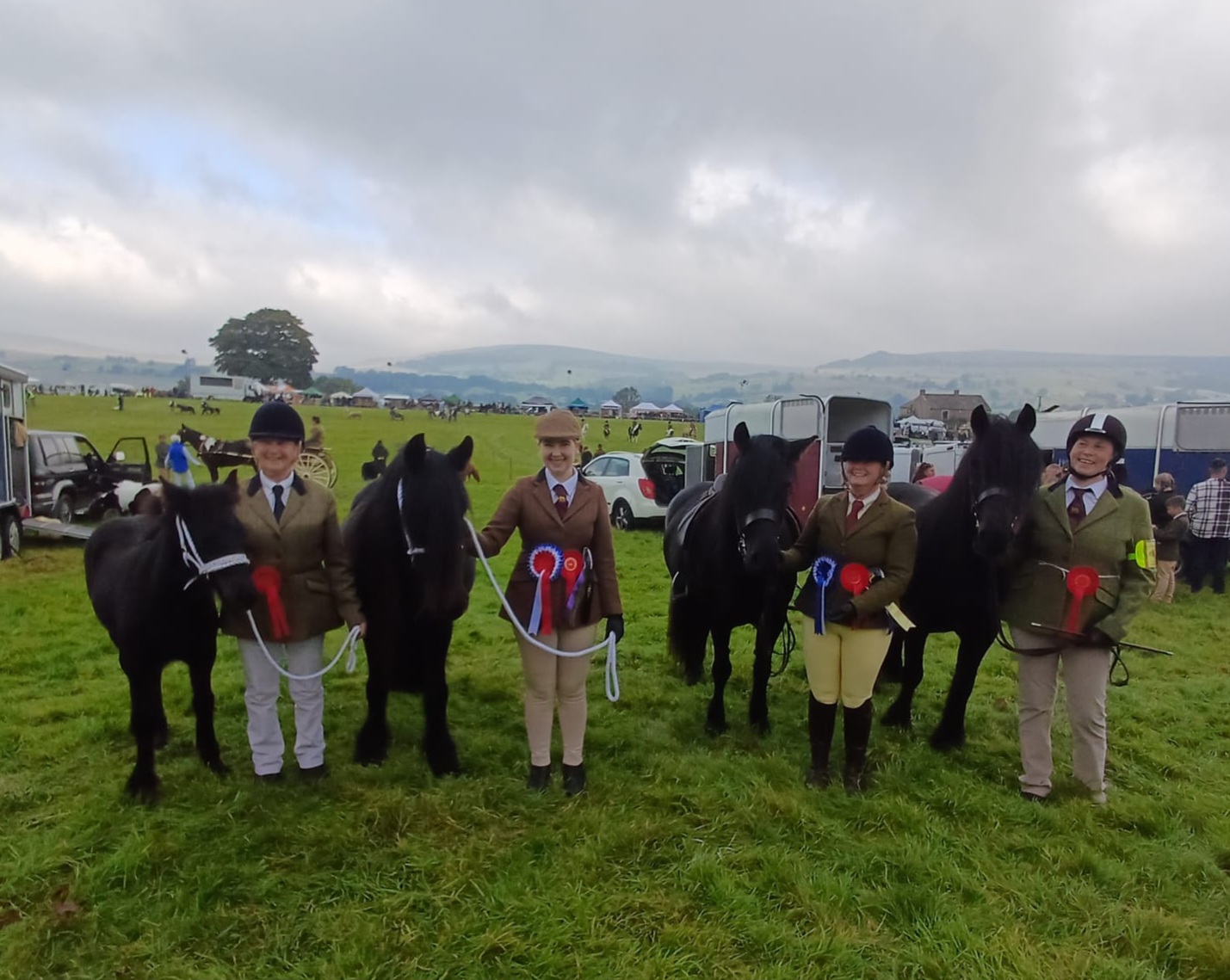 four black ponies at a show