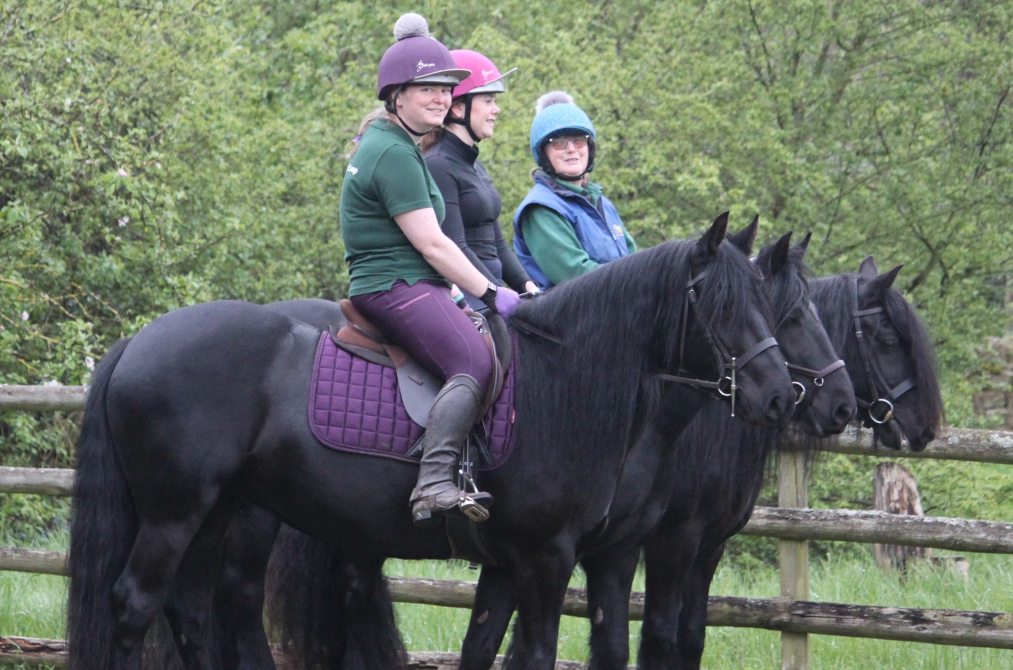 side view of three black ponies and their riders smiling at the camera