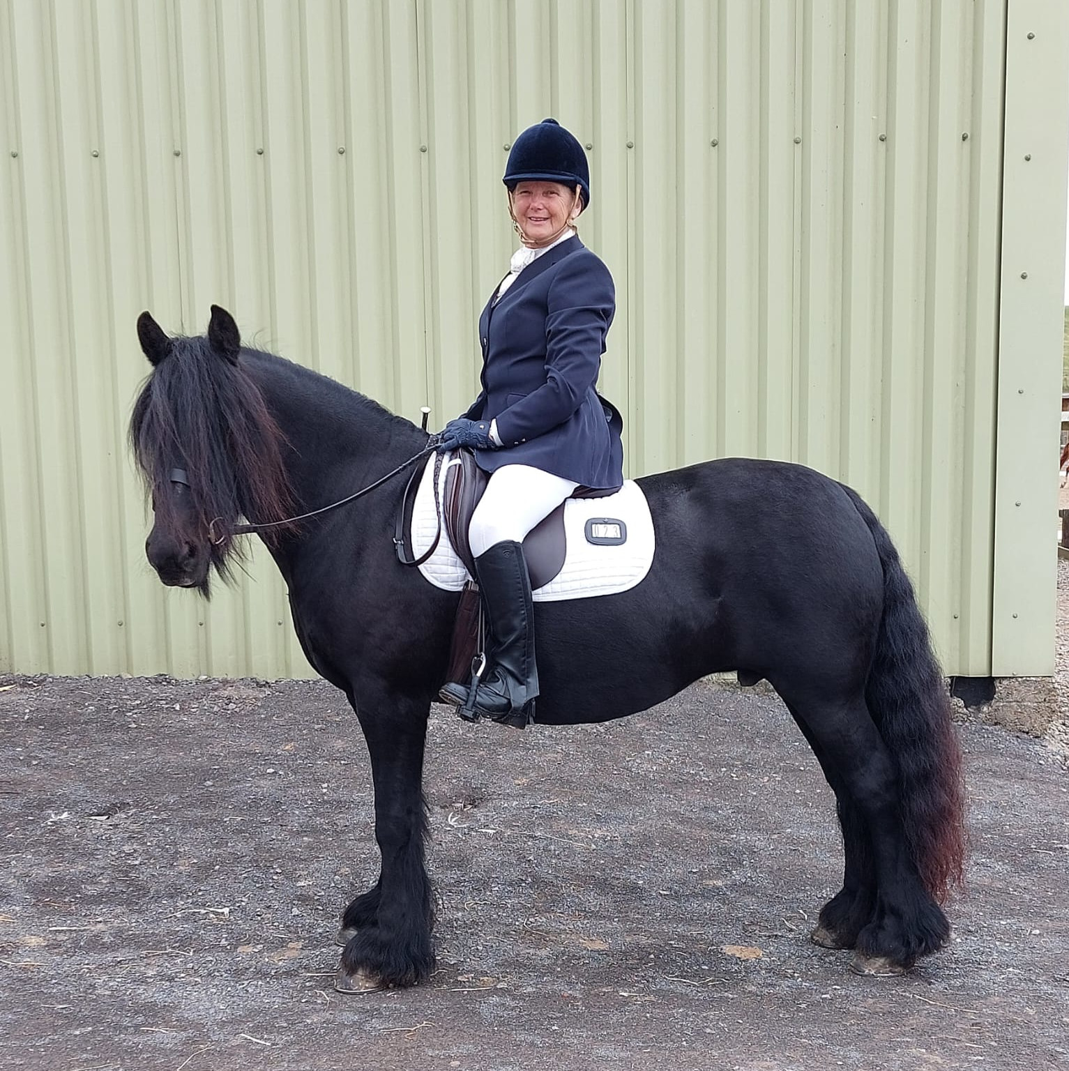 rider in a navy blue show coat, on a black pony