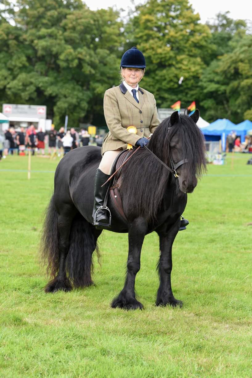 black mare with her rider at a show in a green field