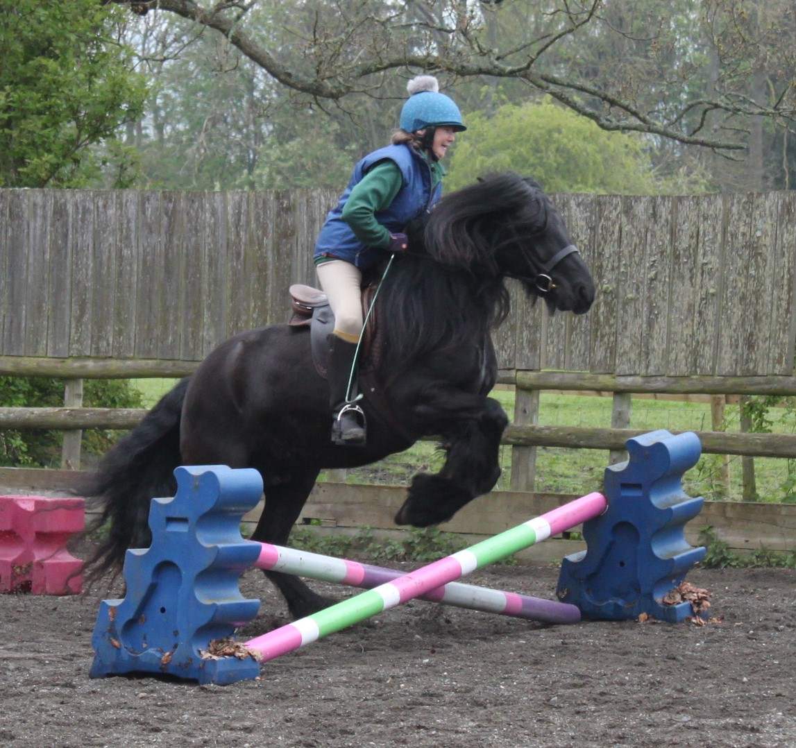 black pony jumping a fence in an outdoor arena