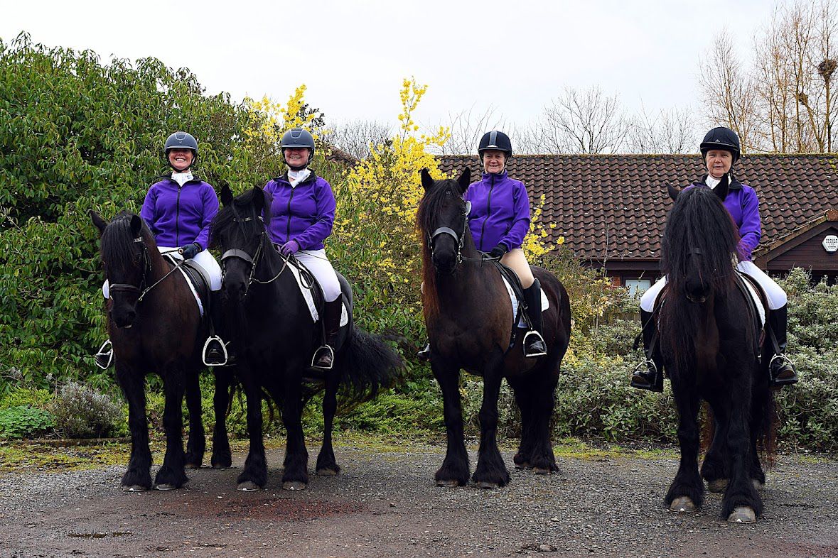 4 black ponies, with riders in purple sweatshirts